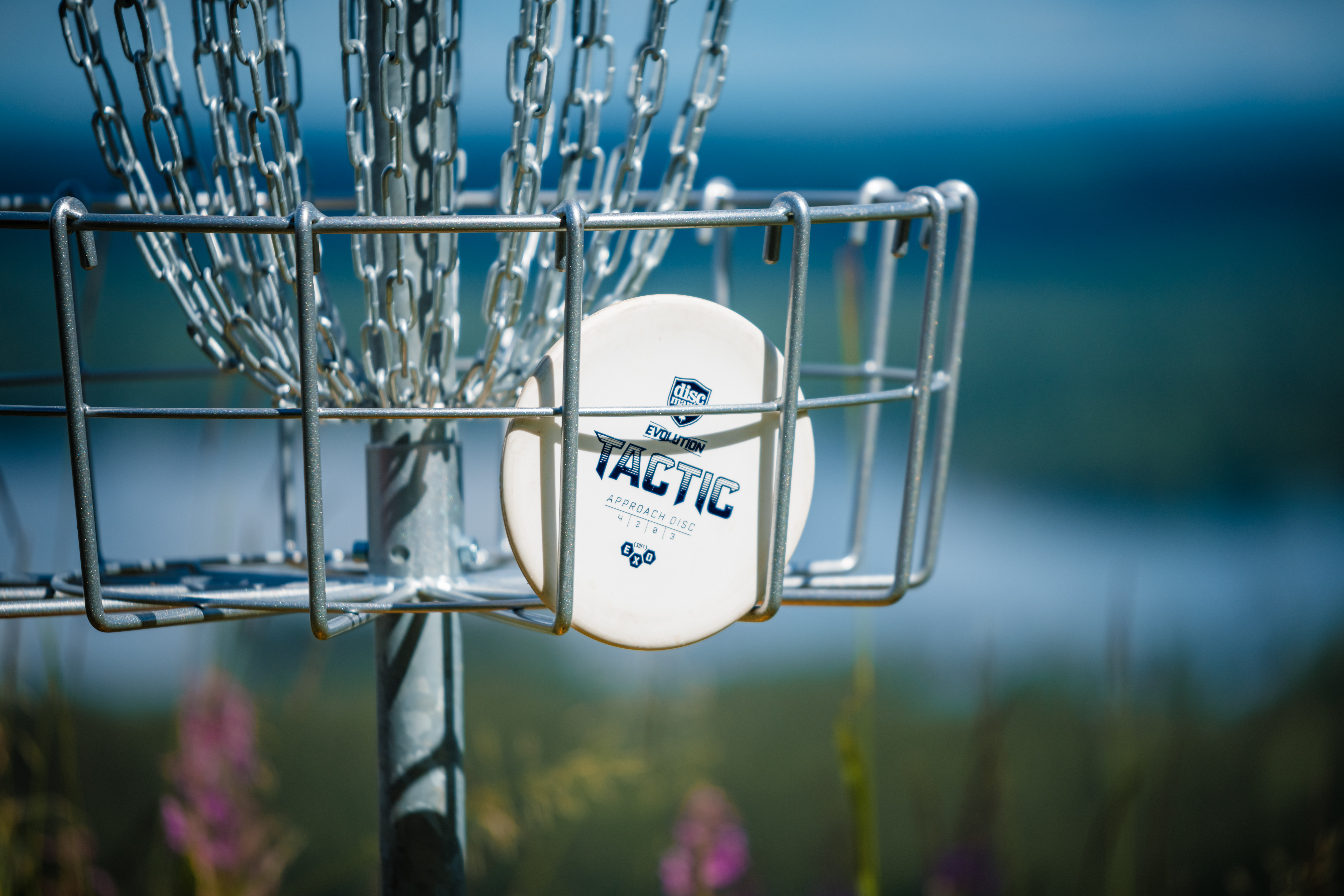 Cible panier de disc golf (disko golf)